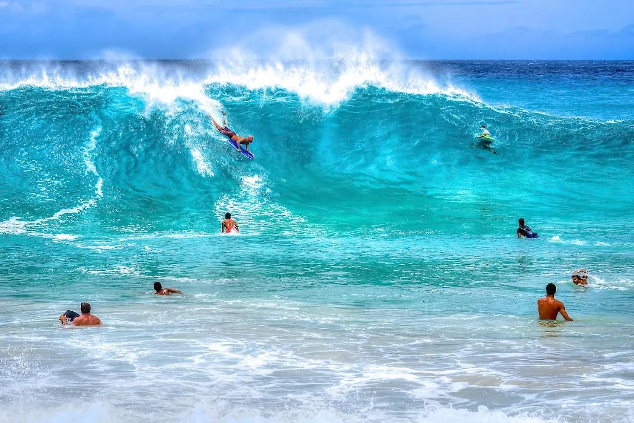 Royal Aloha Waikiki Beach Гонолулу